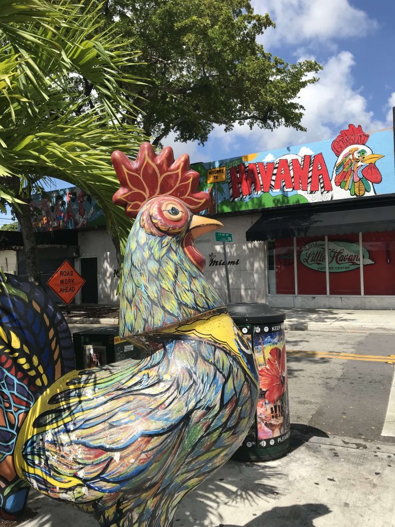 roosters little havana - journee pour decouvrir miami - miamioffroad